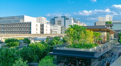 南太平洋大学扩建项目橙色环形电缆